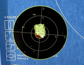 Blue shooting target with impacts grouped near the center