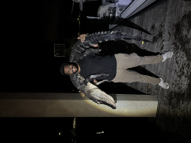 Hunter holding a harvested alligator on a dock at night after a Florida hunt